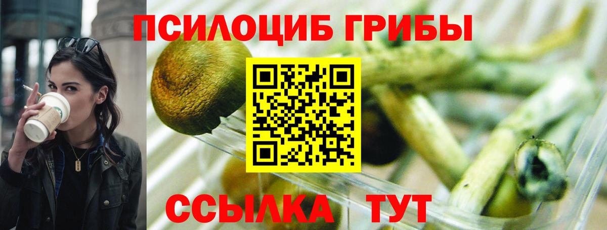 Псилоцибиновые грибы Magic Shrooms  Галлюциногенные грибы мицелий  Вход с VPN  хочу   Алапаевск 